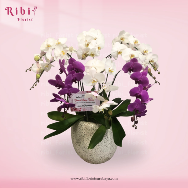 BUNGA MEJA VAS ANGGREK PUTIH UNGU (FRESH)